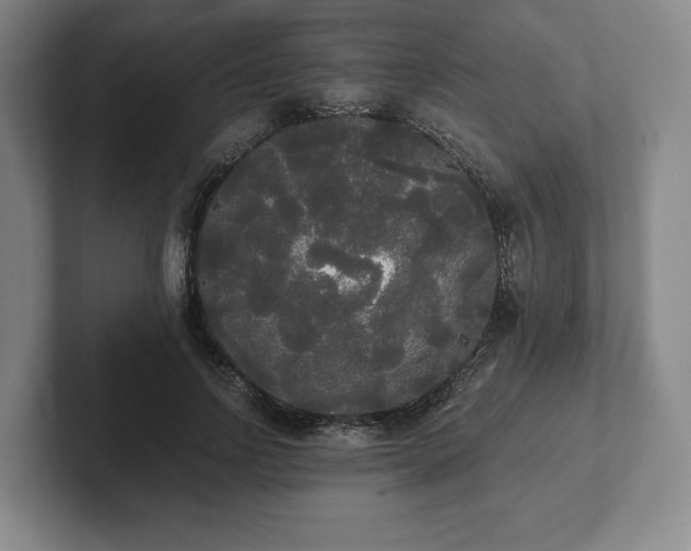 X0000101950742200807251134