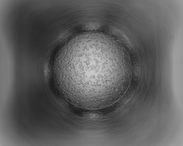 X0000101950743200807251134