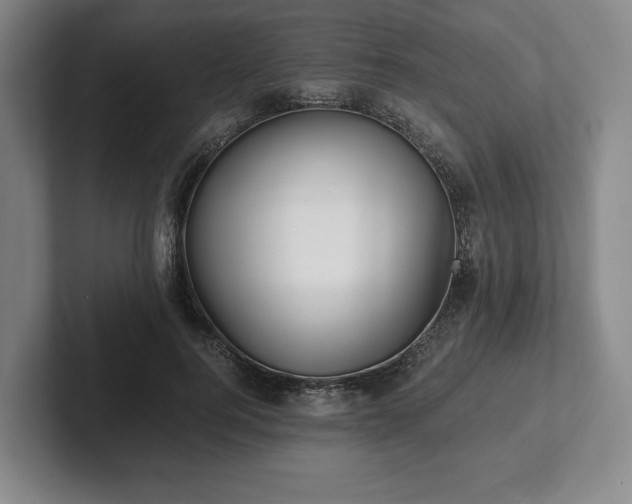 X0000101950744200807251134