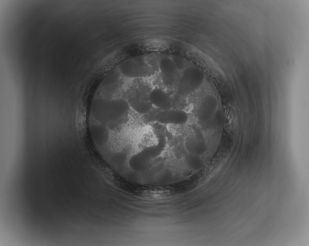 X0000101950745200807251134