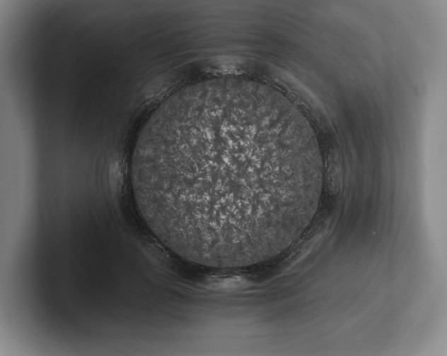 X0000101950747200807251134