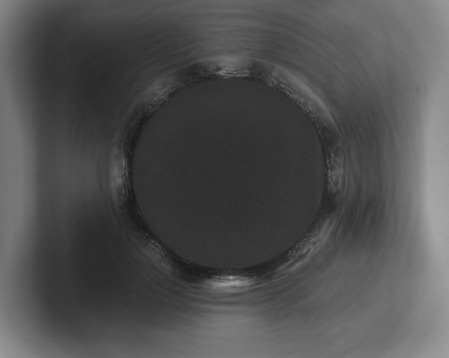 X0000101950748200807251134