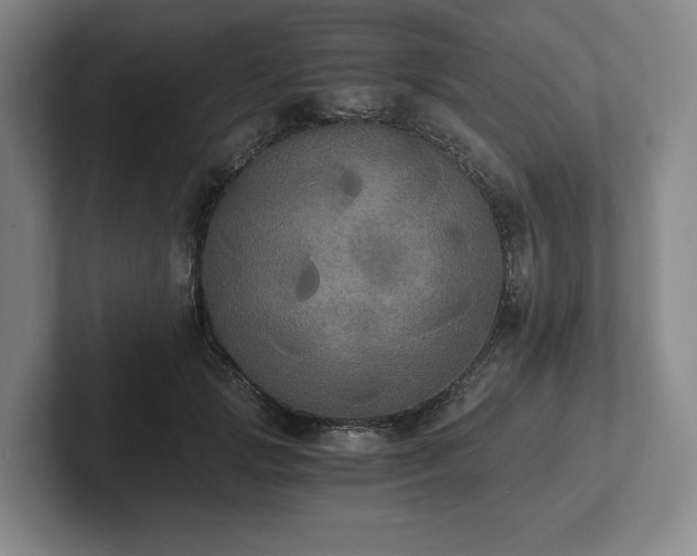 X0000101950749200807251134