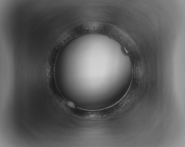 X0000101950750200807251134