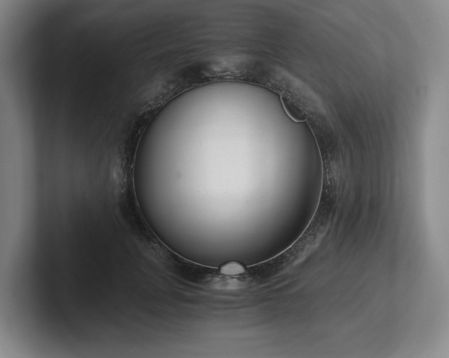 X0000101950751200807251134