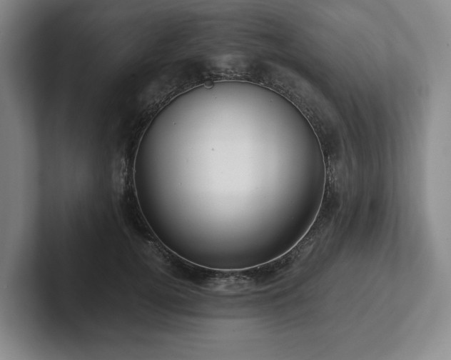 X0000101950752200807251134