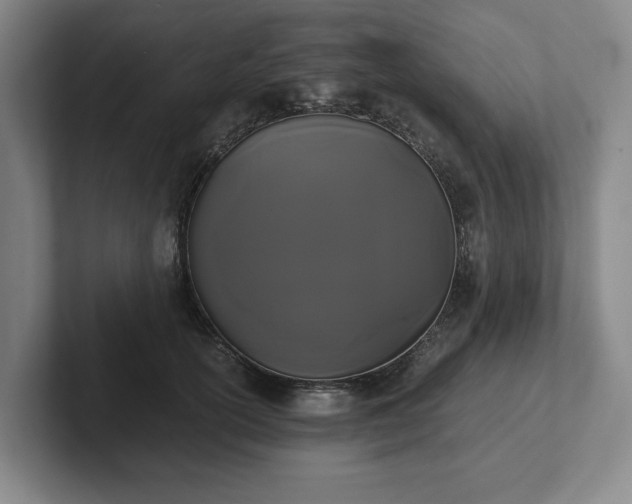 X0000101950754200807251134