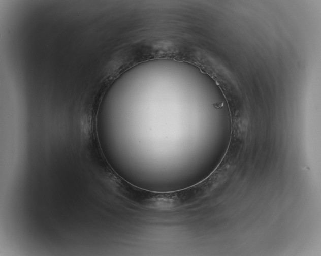 X0000101950756200807251134