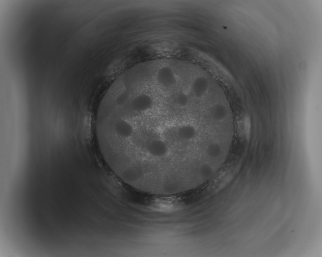 X0000101950757200807251134