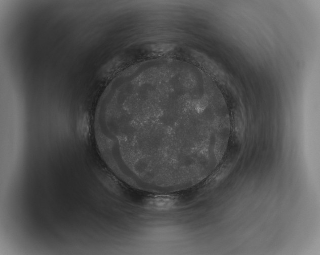 X0000101950758200807251134