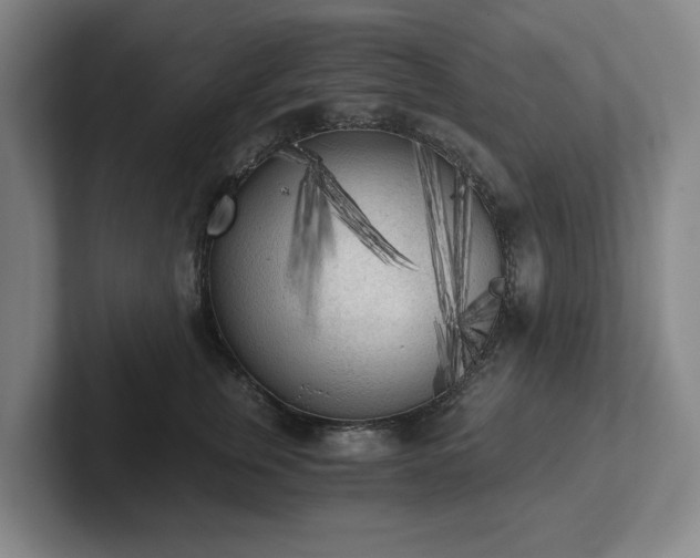 X0000101950759200807251134