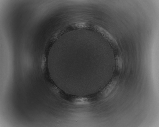 X0000101950760200807251134