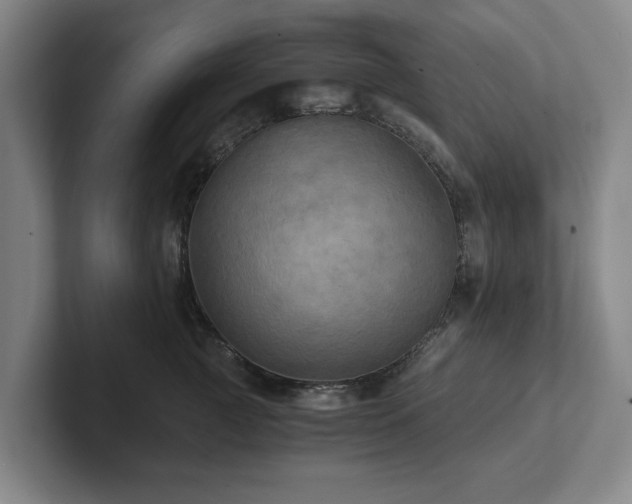 X0000101950761200807251134