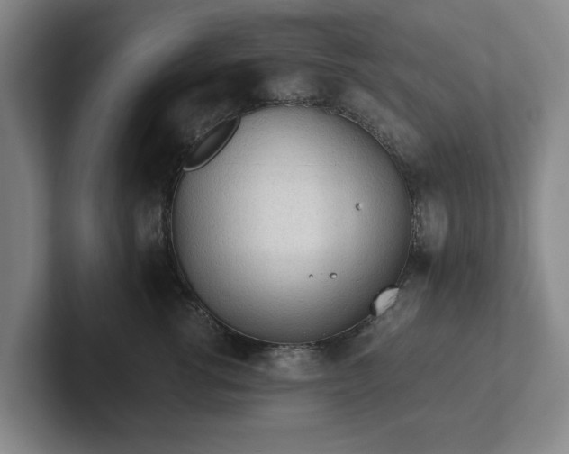 X0000101950762200807251134