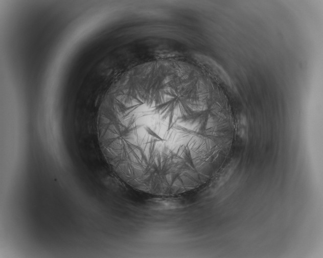 X0000101950763200807251134