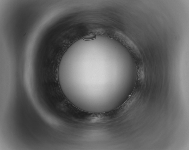 X0000101950764200807251134