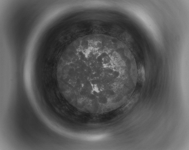 X0000101950765200807251134