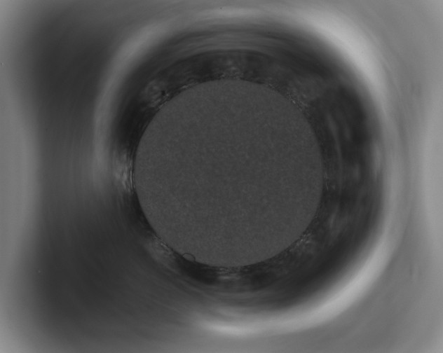 X0000101950766200807251134