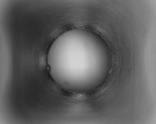 X0000101950768200807251134