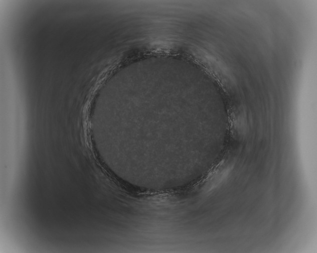 X0000101950769200807251134