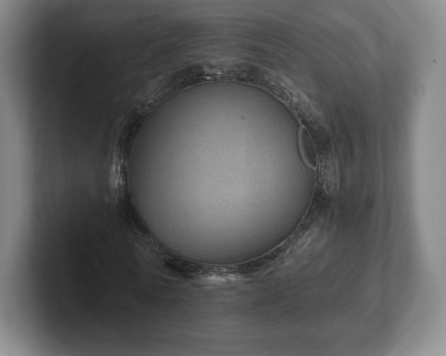 X0000101950770200807251134