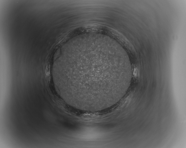 X0000101950771200807251134