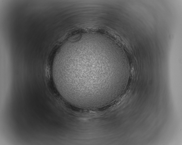 X0000101950772200807251134