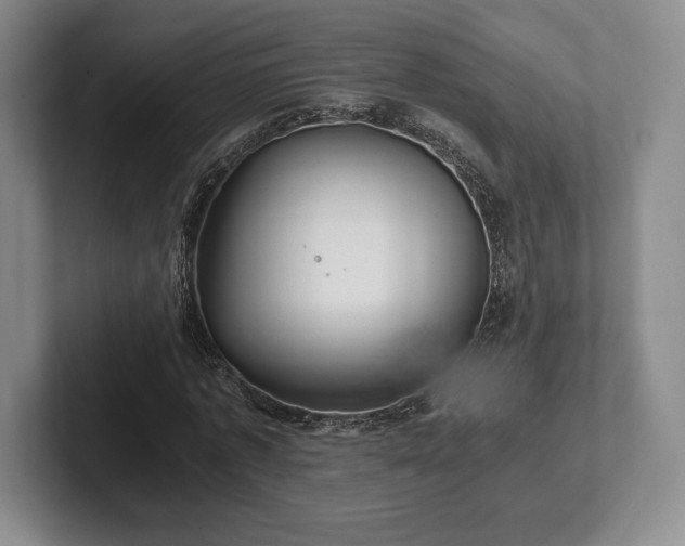 X0000101950773200807251134