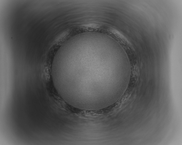 X0000101950774200807251134