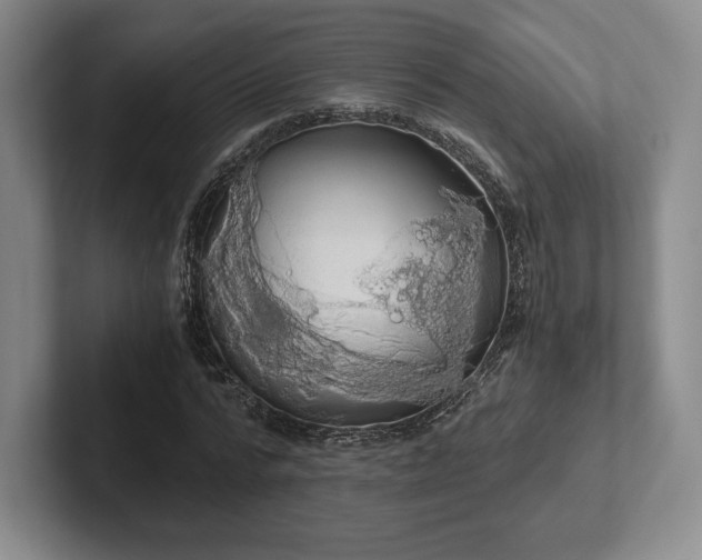 X0000101950776200807251133