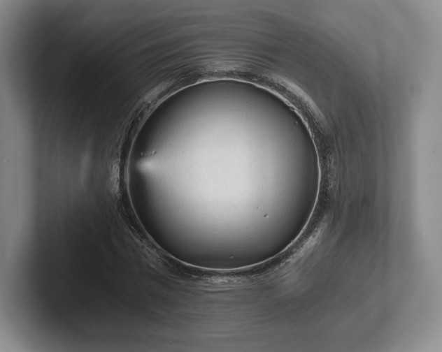 X0000101950777200807251133