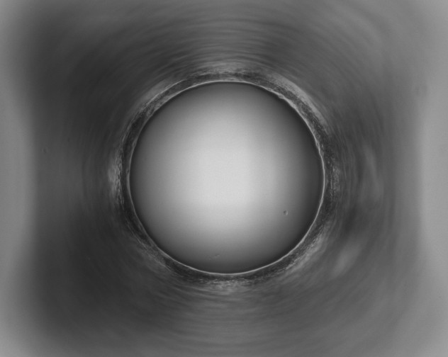 X0000101950778200807251133