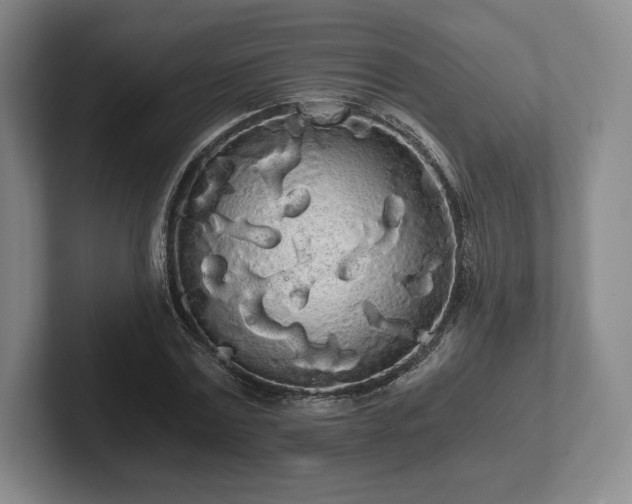 X0000101950779200807251133