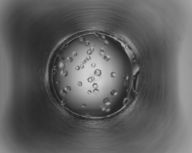 X0000101950780200807251133
