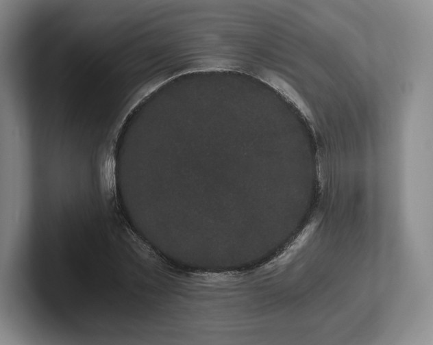 X0000101950781200807251133