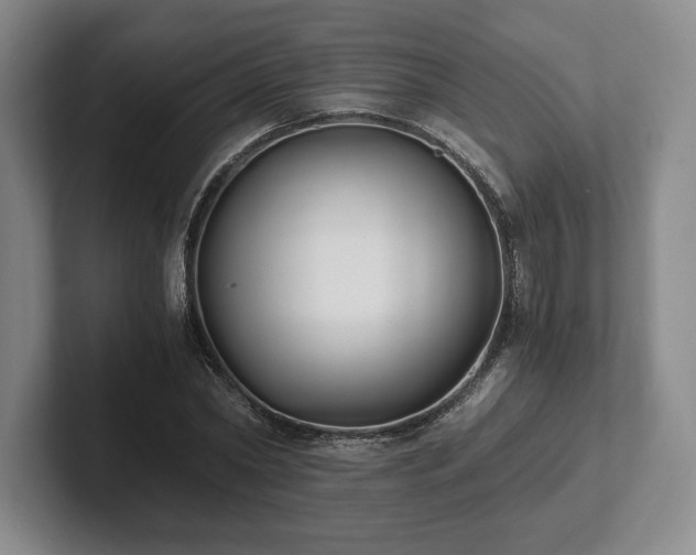 X0000101950782200807251133