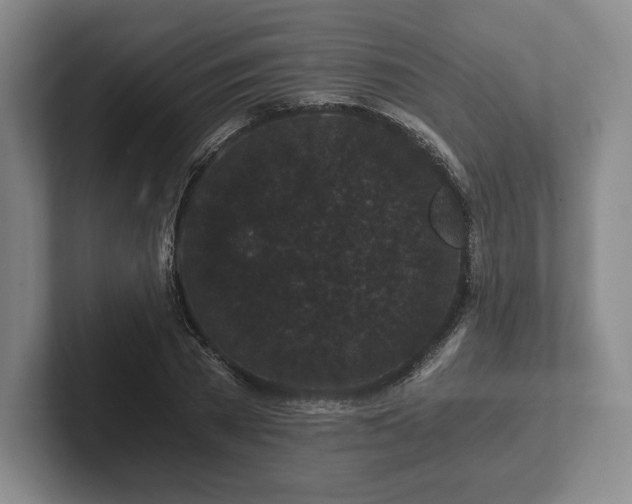 X0000101950785200807251133