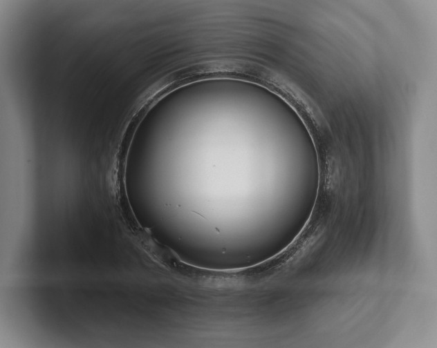 X0000101950786200807251133