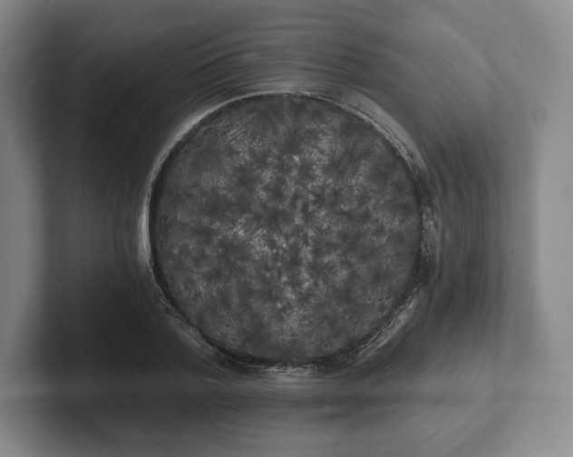 X0000101950788200807251133