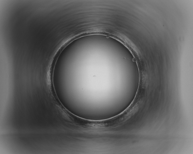 X0000101950789200807251133