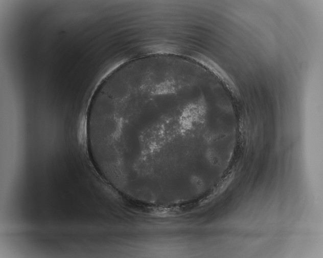 X0000101950790200807251133