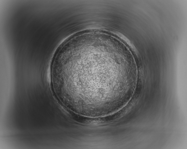 X0000101950791200807251133