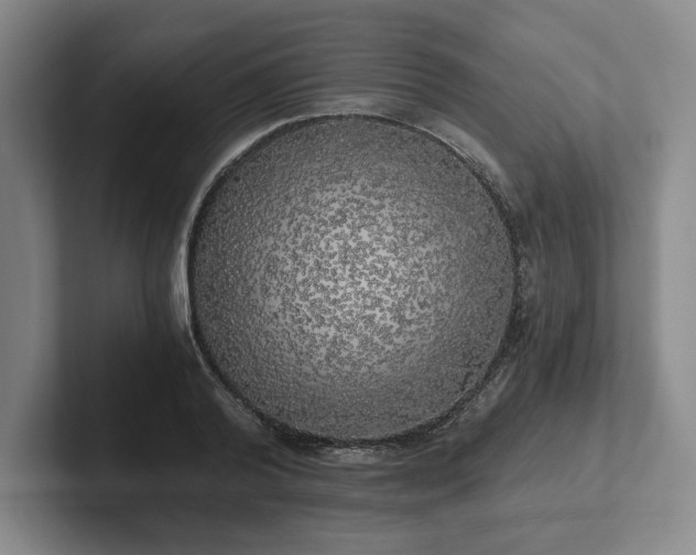 X0000101950792200807251133