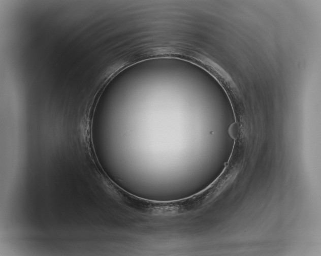 X0000101950793200807251133