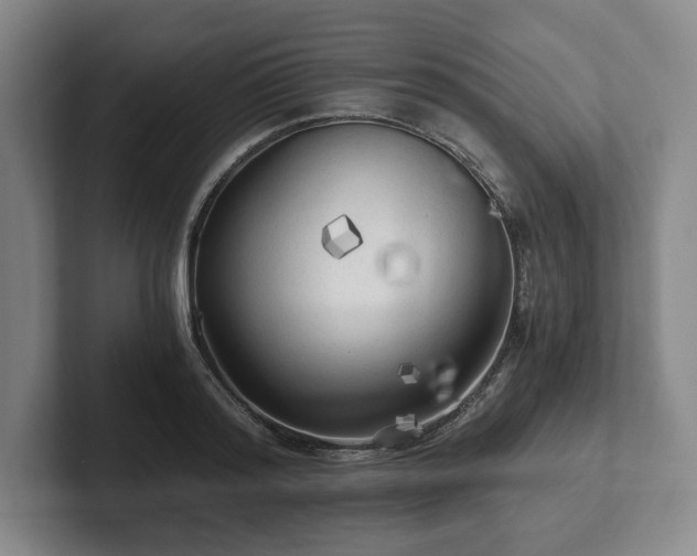 X0000101950796200807251133