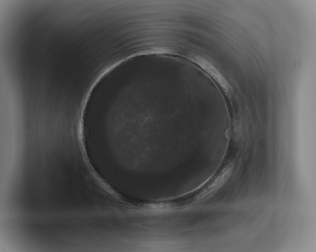 X0000101950797200807251133