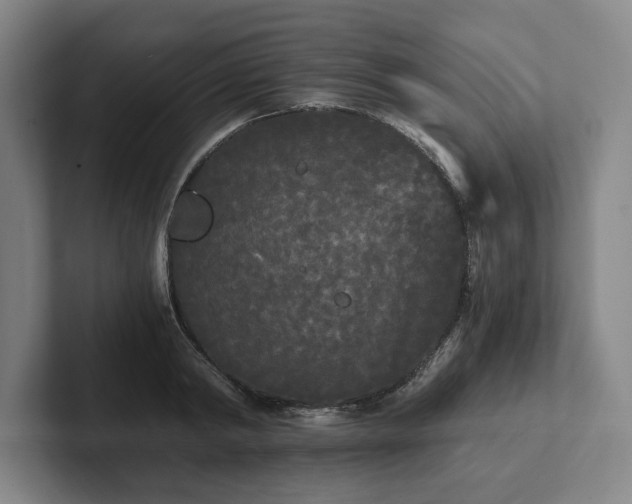 X0000101950798200807251133