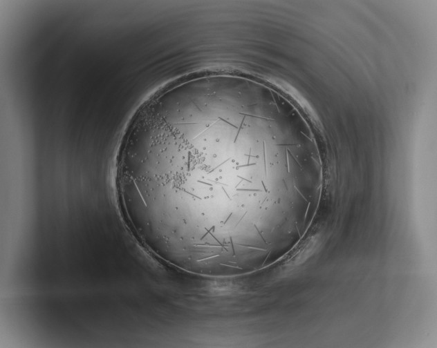 X0000101950799200807251133