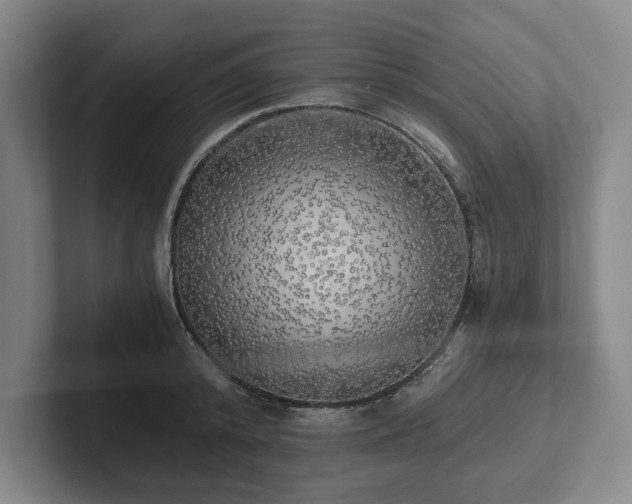 X0000101950800200807251133