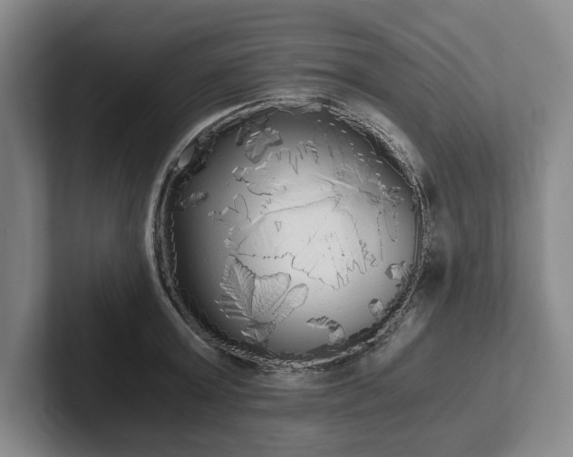X0000101950803200807251133